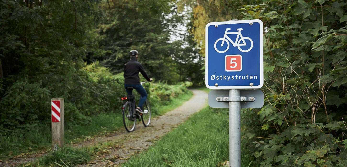 Cykelruter og turforslag i Vejle |