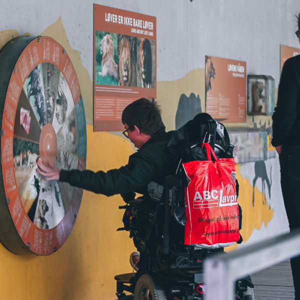 Dreng på tur gennem udstilling i GIVSKUD ZOO