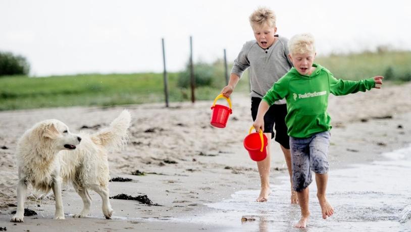 Tirsbæk Strand med to drenge og en hund
