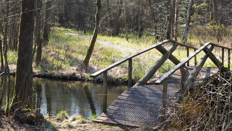Bro over å i Gødding Skov