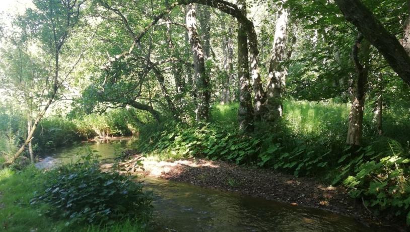 Grejsdalens grønne natur