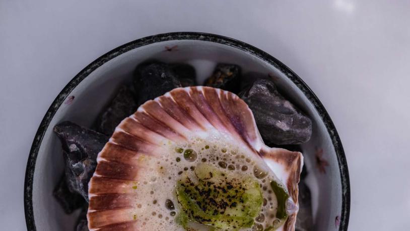 Gastronomi MeMu i Vejle