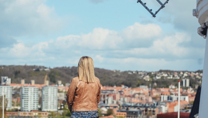 Udsigt over Vejle by fra Vejle Vindmølle