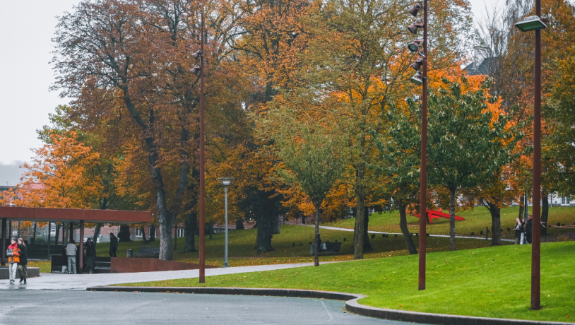 Efterårsdag i Mariaparken