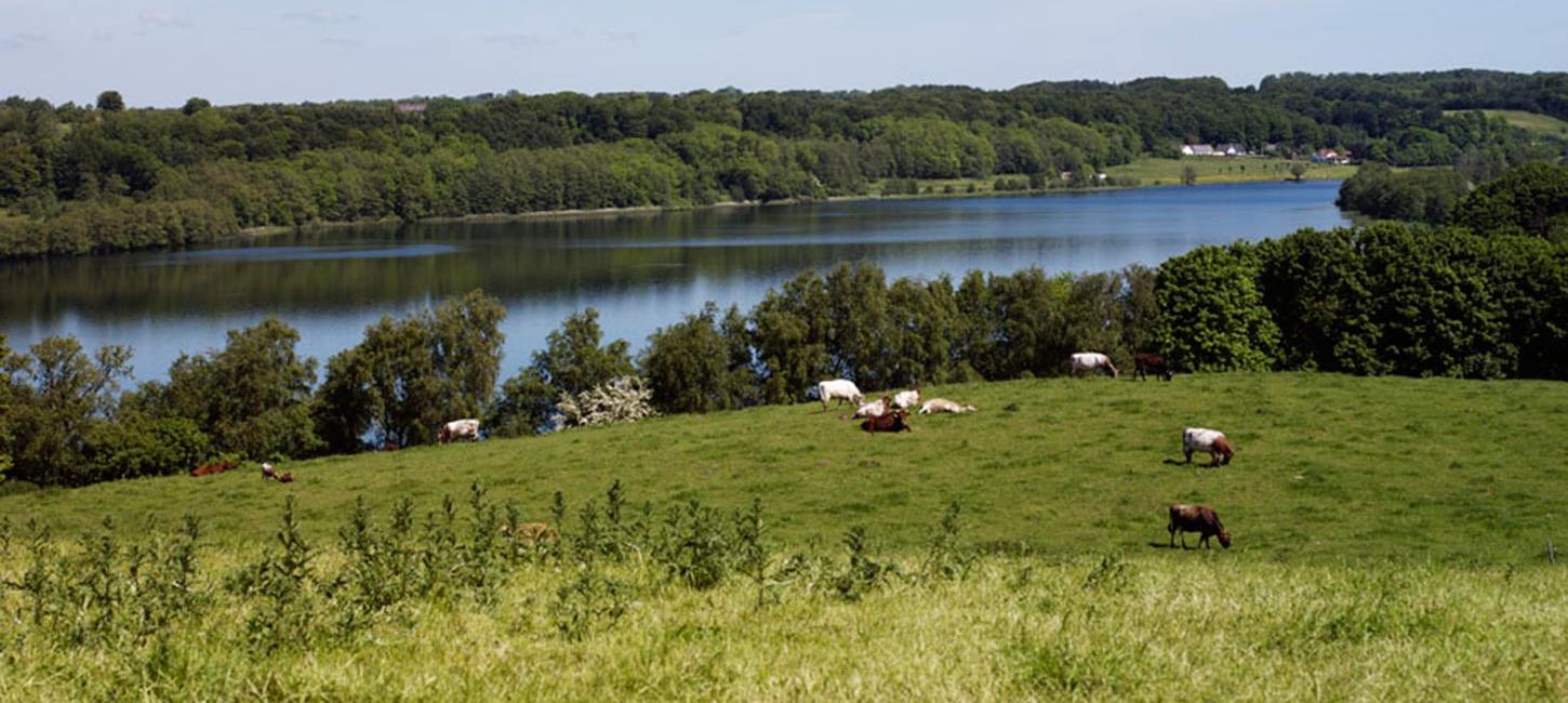 Fårup Sø