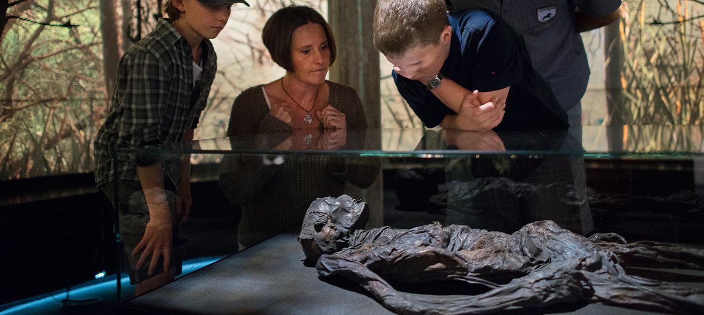 Kulturmuseet i Spinderihallerne
