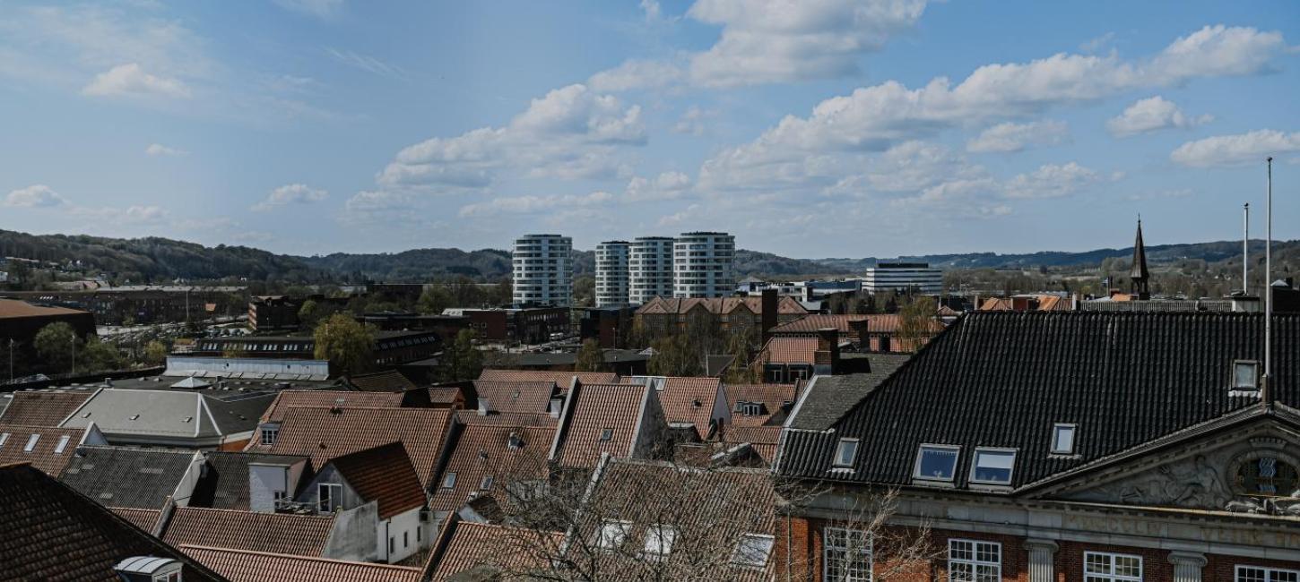 Udsigt over Vejles tage