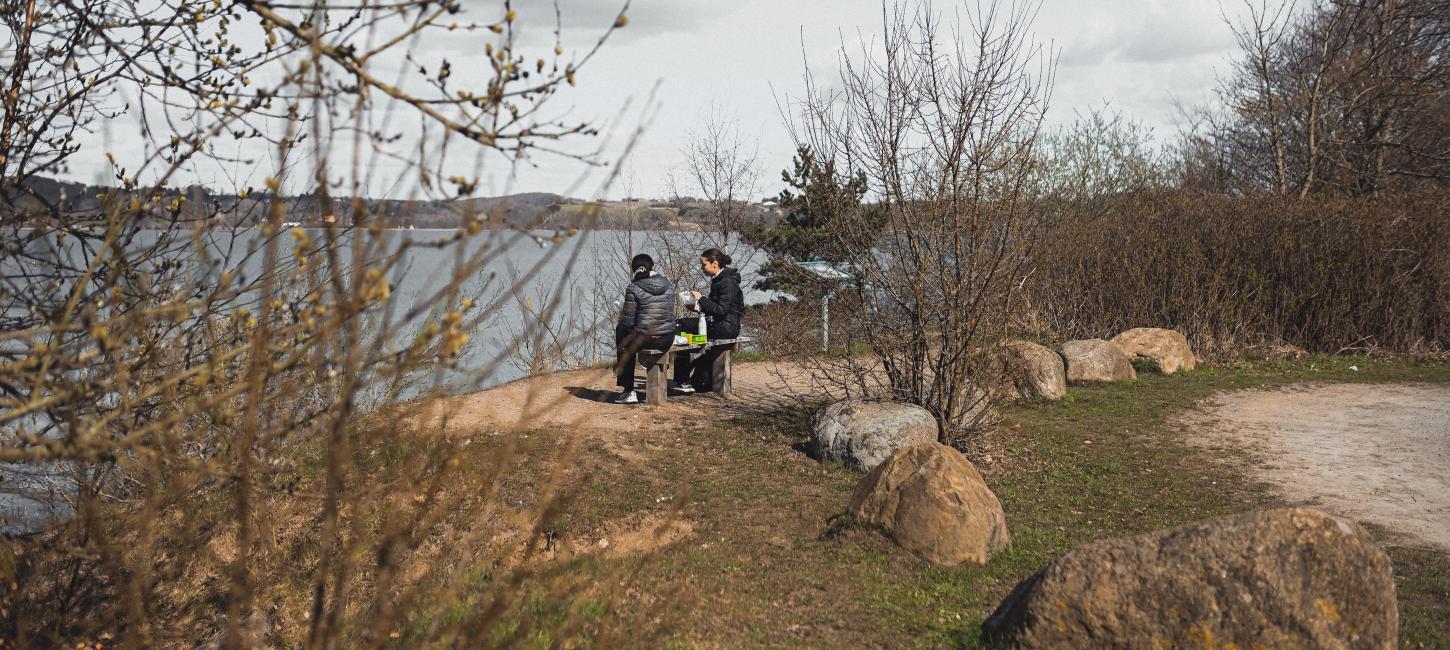 Picnic ved Holster Hage