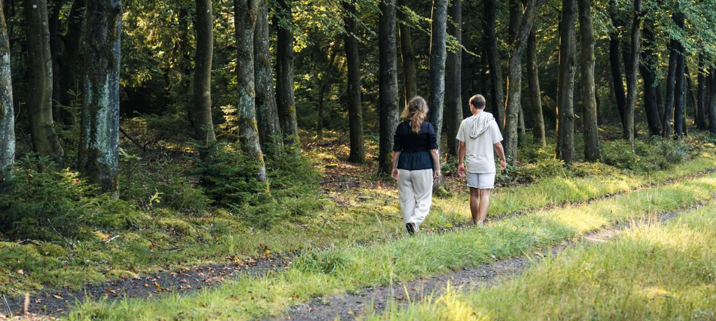 To personer på gåtur i Kollemorten skov om sommeren