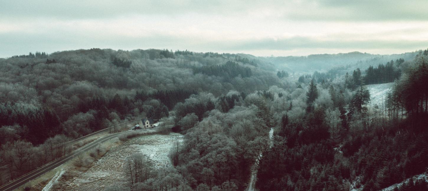 Dronebillede af Grejsdalen, hvor tågen kommer ind over dalen