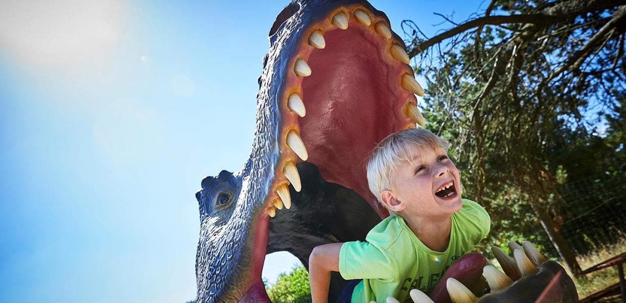 Dreng i krokodille i Givskud Zoo