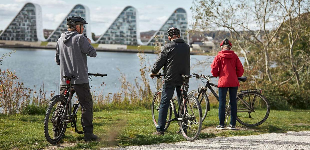 Tre cyklister cykler langs Østkystruten og holder pause ved Vejle Fjord og nyder udsigten til Bølgen