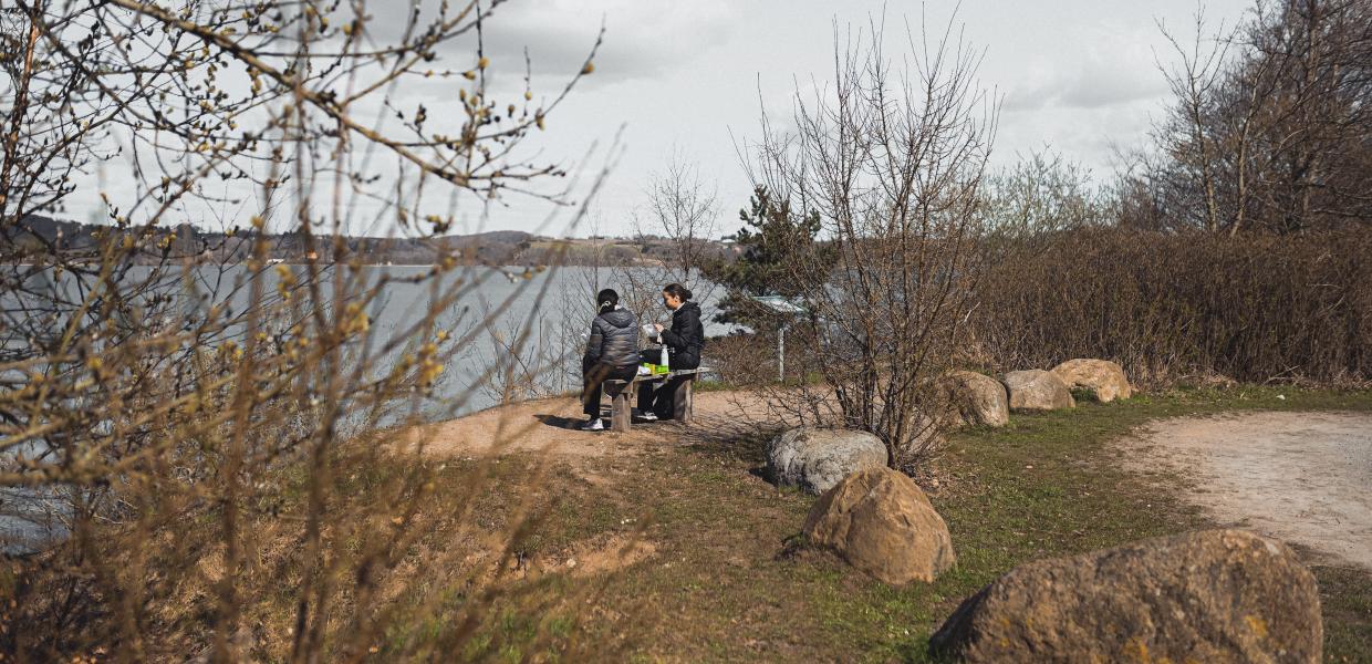 Picnic ved Holster Hage 
