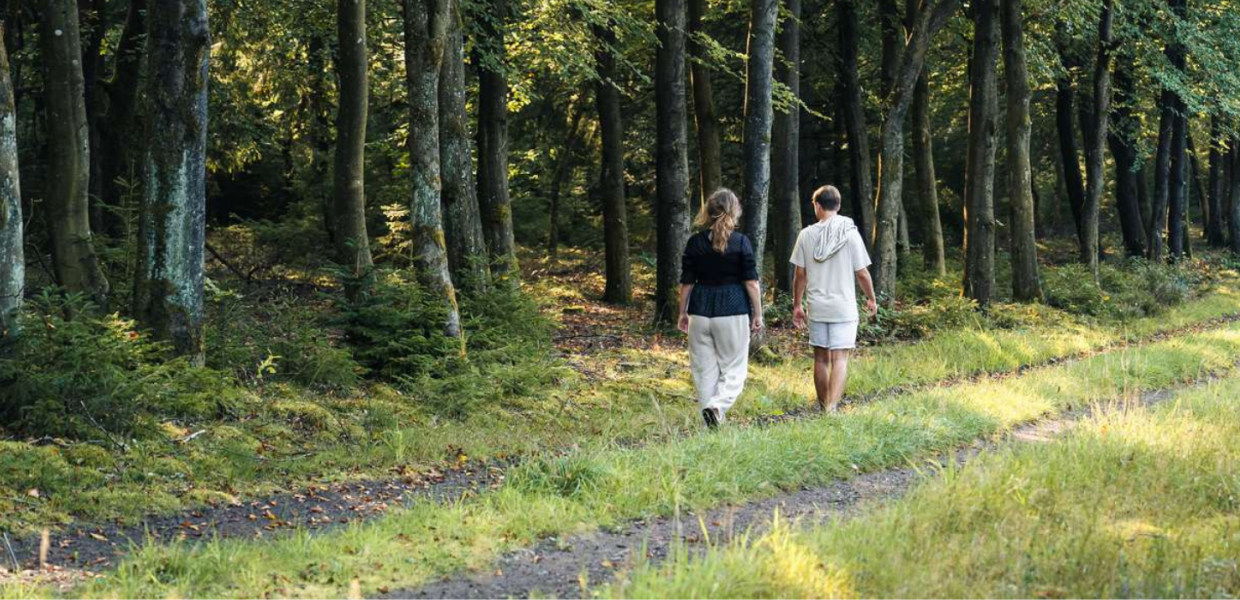 To personer på gåtur i Kollemorten skov om sommeren