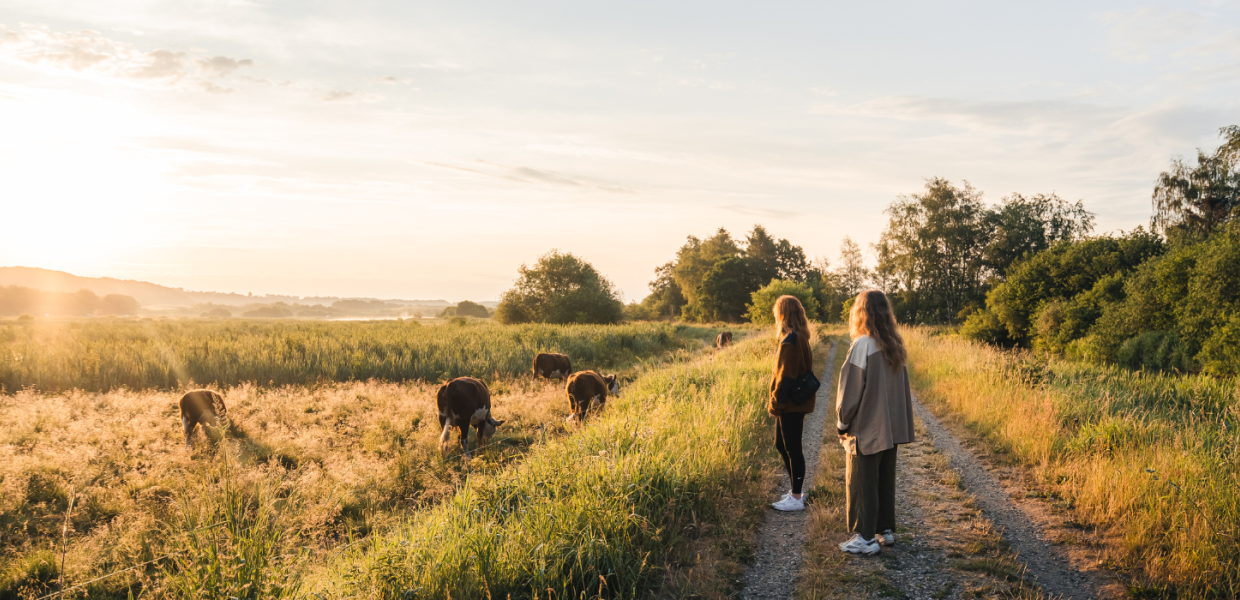 Piger går en gåtur i Vejle Ådal tæt på køer