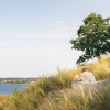 Kvinder nyder udsigten over Vejle Fjord ved Hvidbjerg strand