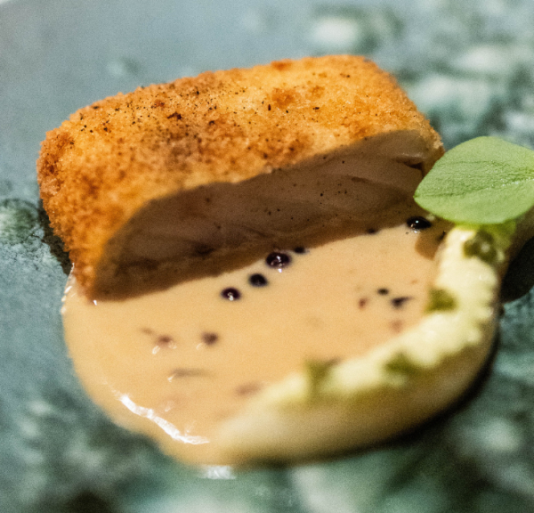 Mad serveret på TreeTop Restaurant på Munkebjerg Hotel i Vejle