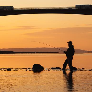 Vejle Fjord med broen og lystfisker i solopgangen