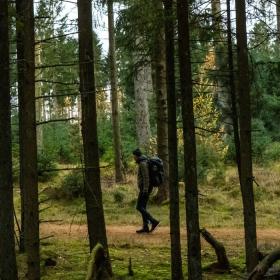 Vandretur i Frederikshåb Plantage