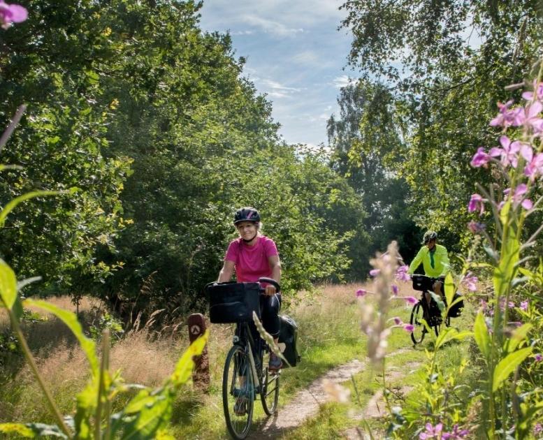 Cyklister på hærvejen ved Gudenåens udspring