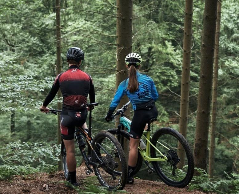 Cyklister på mountainbike i Nørreskoven