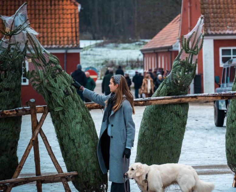 Juletræer til julemarked på Tirsbæk Gods