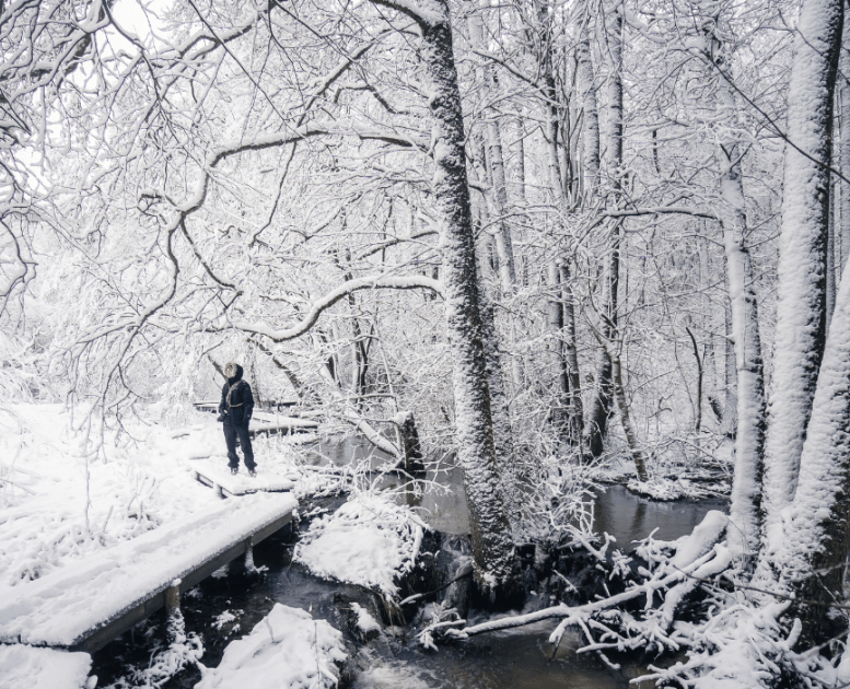 Smukt billede af Grejsdalen klædt i hvid sne efter snestorm