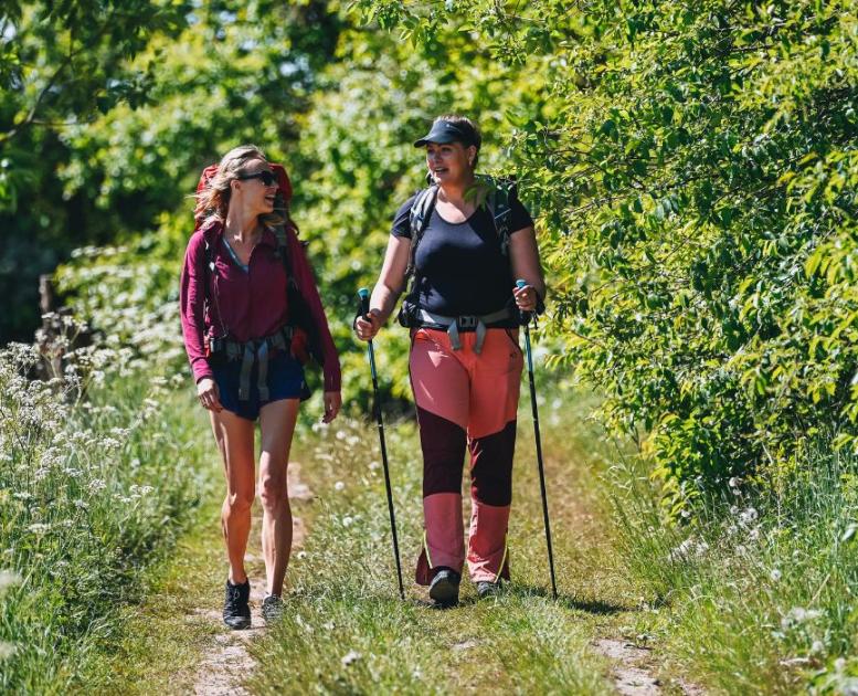 To personer vandrer langs Hærvejen en sommerdag