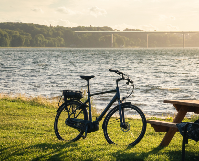 Parkeret cykel ved Ibæk Strand med udsigt over fjorden