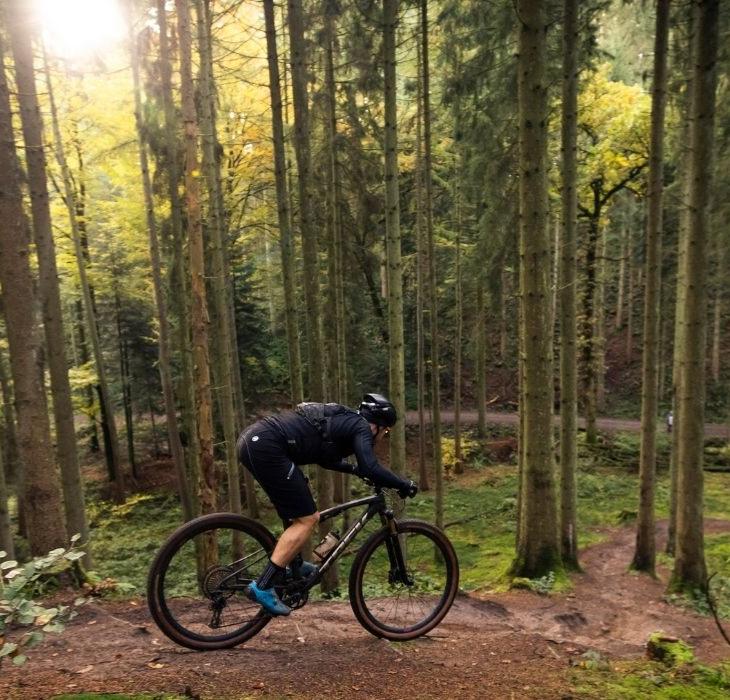 Cykelrytter på mountainbike på mountainbikesporet i Nørreskoven