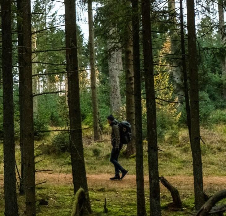 Vandretur i Frederikshåb Plantage