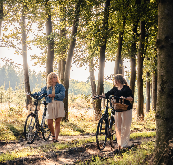 To kvinder på svampetur i skoven med cykler