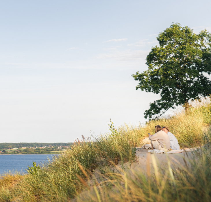 Kvinder nyder udsigten over Vejle Fjord ved Hvidbjerg strand